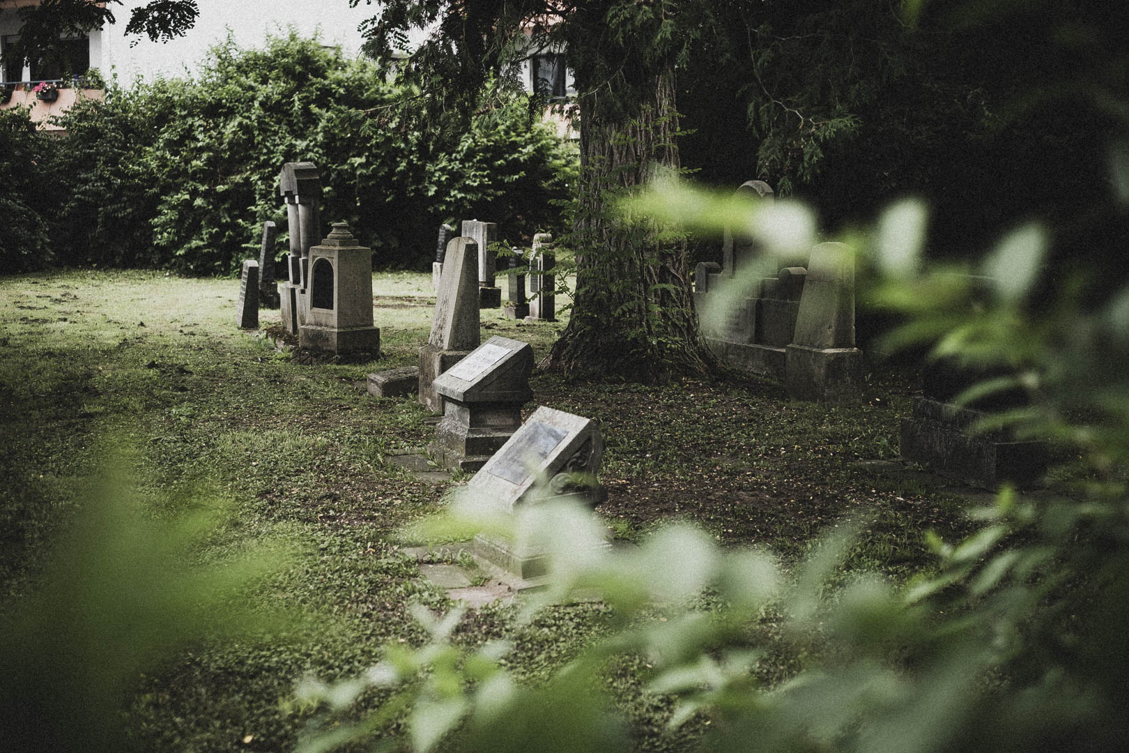 Rinteln, Jüdischer Friehof